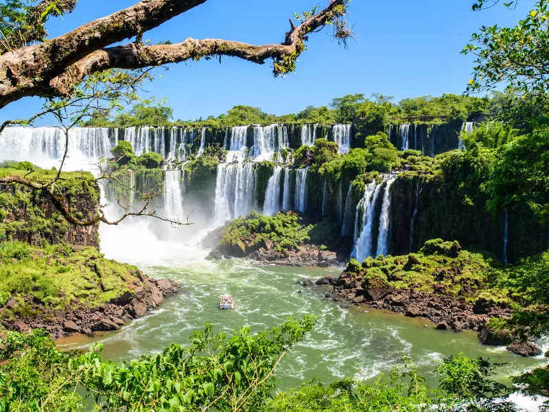 Esencias de Argentina y Brasil