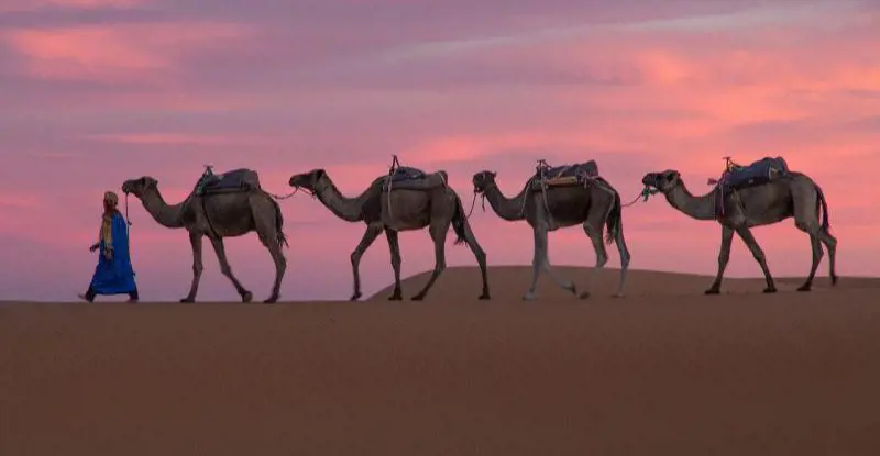 Contrastes de Marruecos, Imperial y Kasbahs