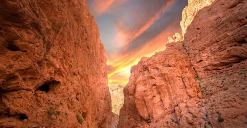 Delicias del Sur de Marruecos