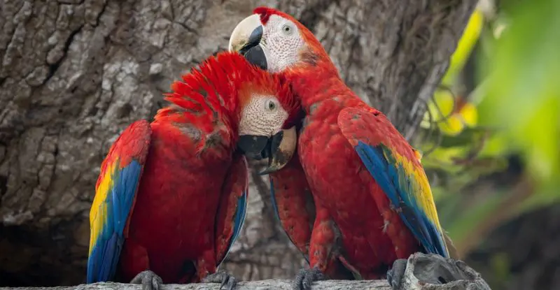 Lo Mejor de Costa Rica – Tour Regular