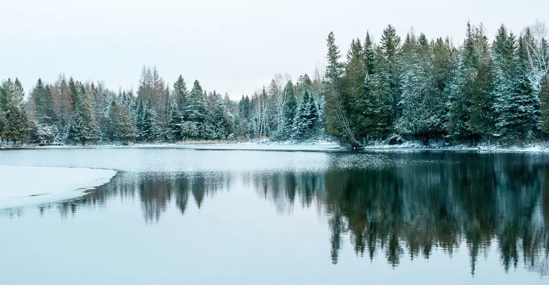 Fantasía Invernal