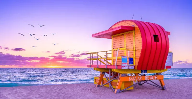 Colección TUI - Miami