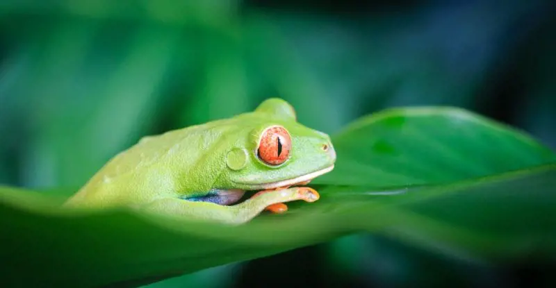Tortuguero con Manuel Antonio – Tour Regular (2026)