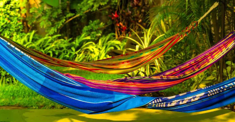 Pura Vida con Manuel Antonio - Tour Regular - Verano