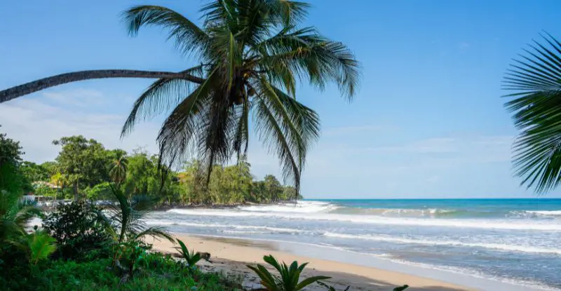 Parques y Playas - Verano