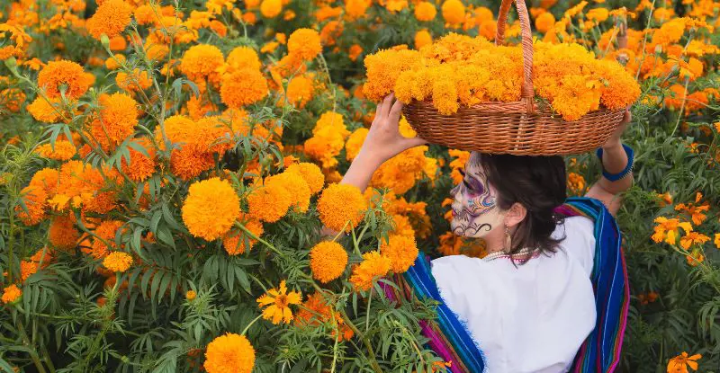 Ciudad de México en Día de Muertos