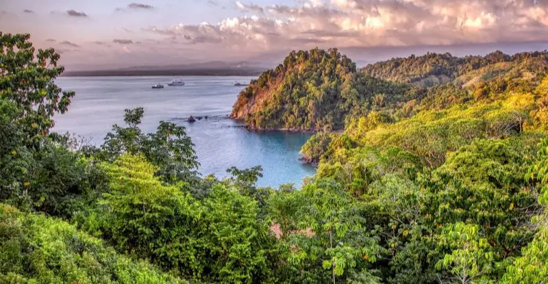 Tortuguero con Manuel Antonio - Oferta Octubre