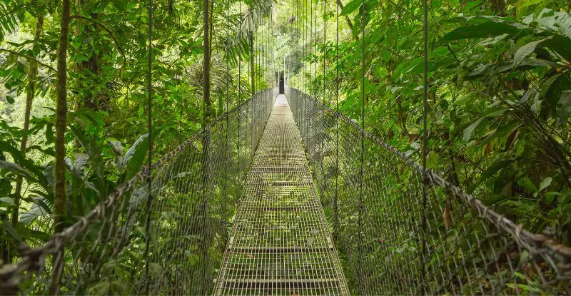 Costa Rica a tu Alcance con Manuel Antonio