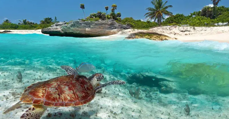 Yucatán y Caribe Mexicano - Costa Mujeres