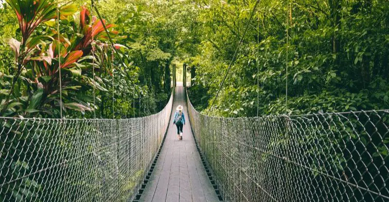 Lo Mejor de Costa Rica (2026)
