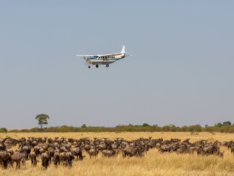 Namibia en Avioneta