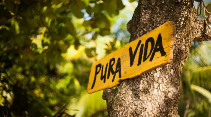 Pura Vida