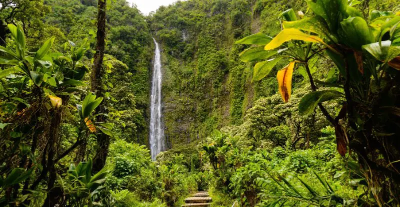 Oahu - Big island (Hawai) - Maui