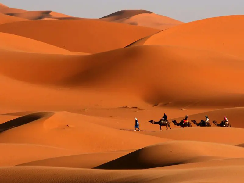 Nómadas en el desierto del sur