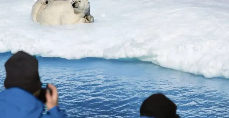 Expedición Clásica a Svalbard