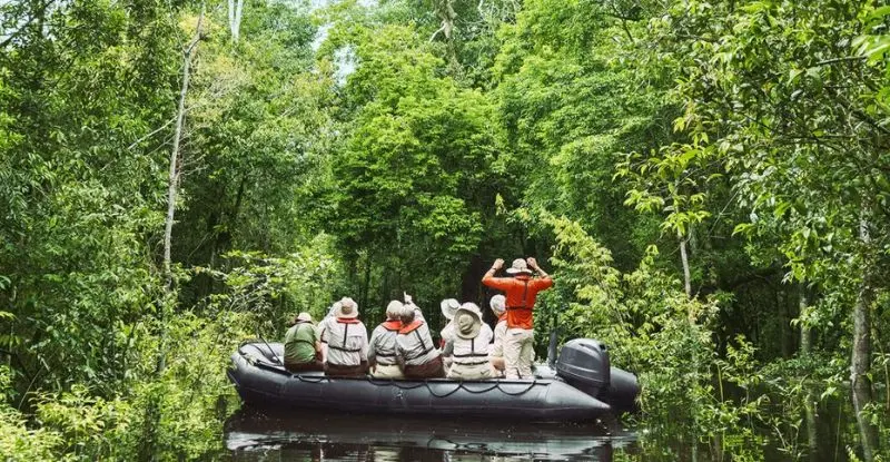 Expedición Amazonas: viaje al corazón verde