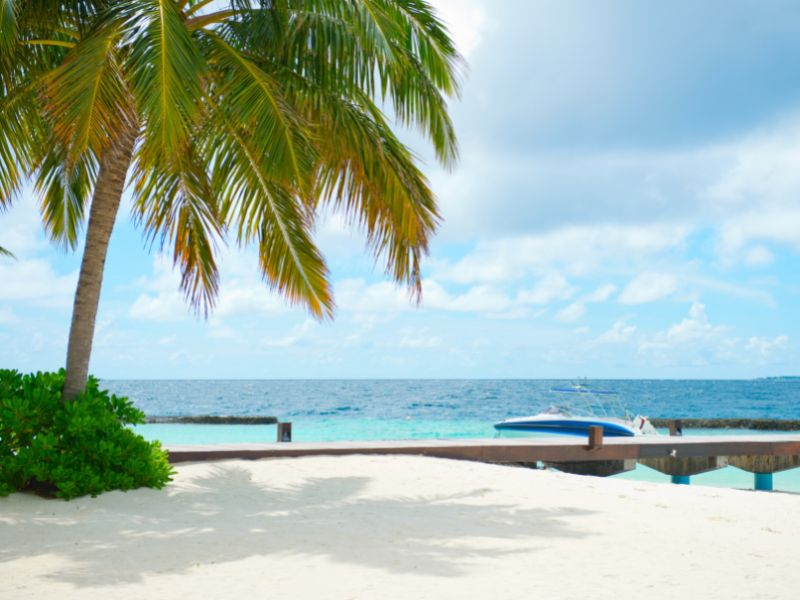 Este Inolvidable y Riviera Maya