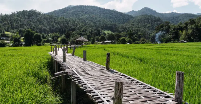 Gran Tour de Tailandia y Phuket