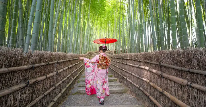 Japón Express - Inicio Tokio