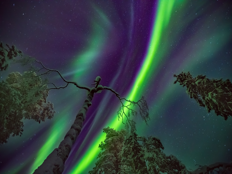 Kakslauttanen Arctic Resort 