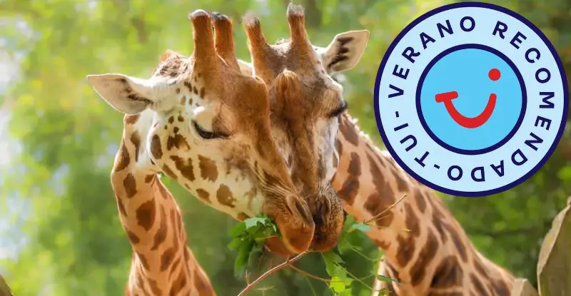 Kenia Romántica y Zanzíbar