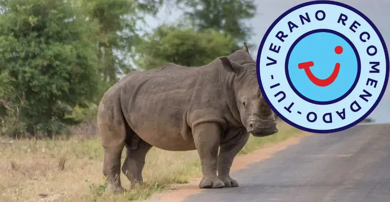 Kruger