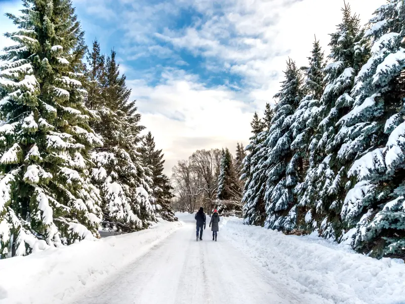 Canadá Invernal