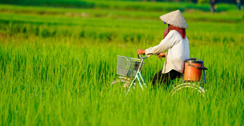 Súper Vietnam y Camboya - Navegando por el Mekong