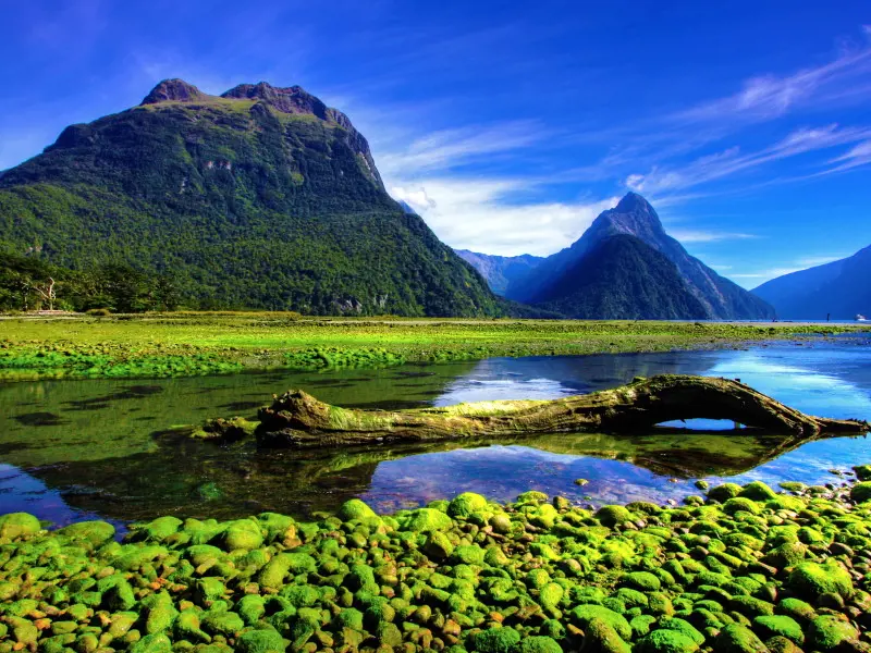Nueva Zelanda Aotearoa
