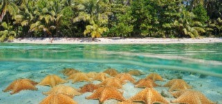 Panamá