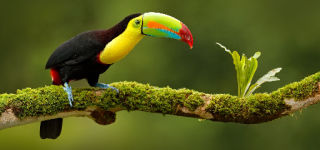 Costa Rica