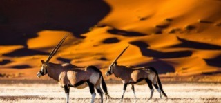 Namibia