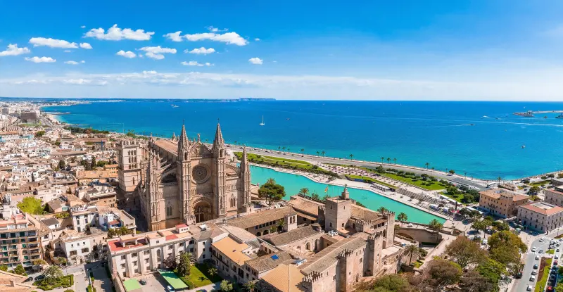 TUI Marathon Palma | Dorsal media maratón incluido