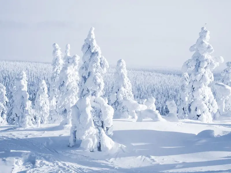 Laponia - Puente de Diciembre en Ylläs - desde Madrid