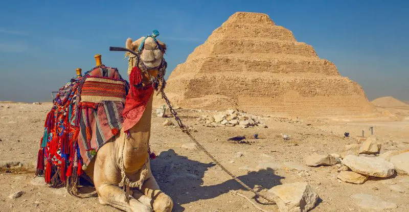 Puente de diciembre en Egipto