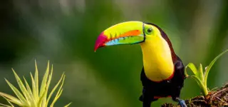 Costa Rica