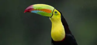 Costa Rica