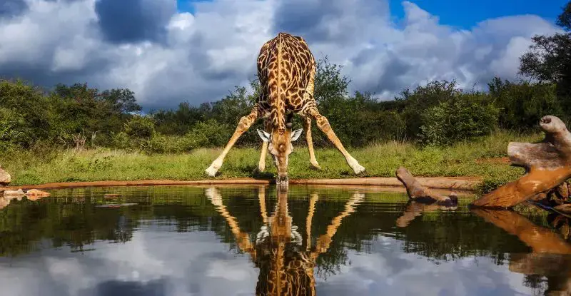 Sudáfrica Mágica