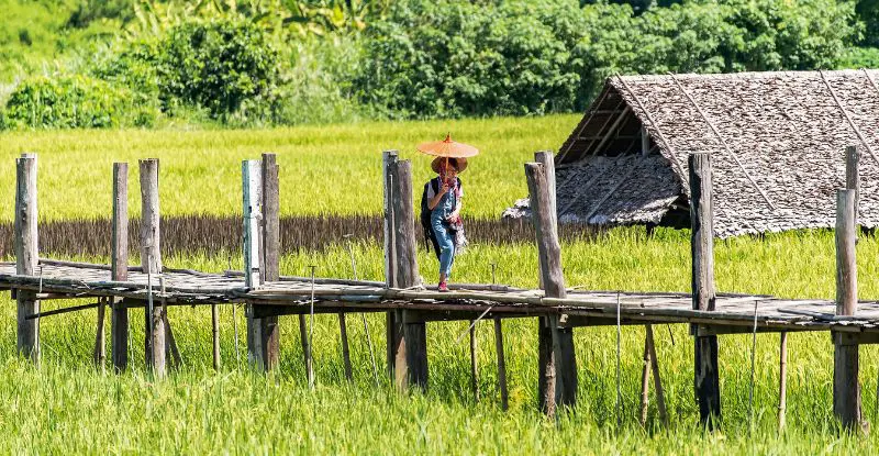Tailandia Auténtica