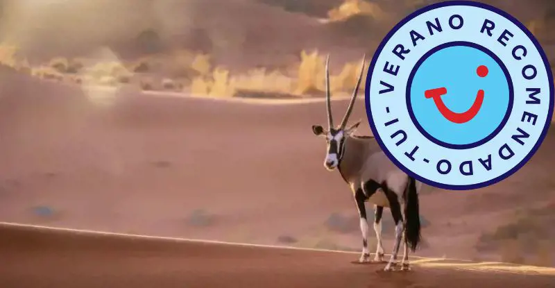 Tesoros de Namibia