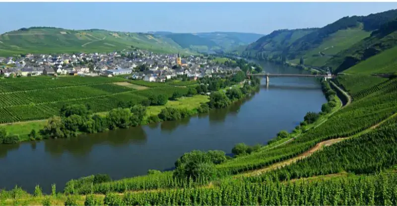 Encantos del Rin y Valle del Mosela desde Valencia 
