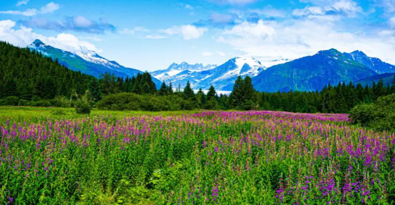 Vancouver con Crucero Alaska