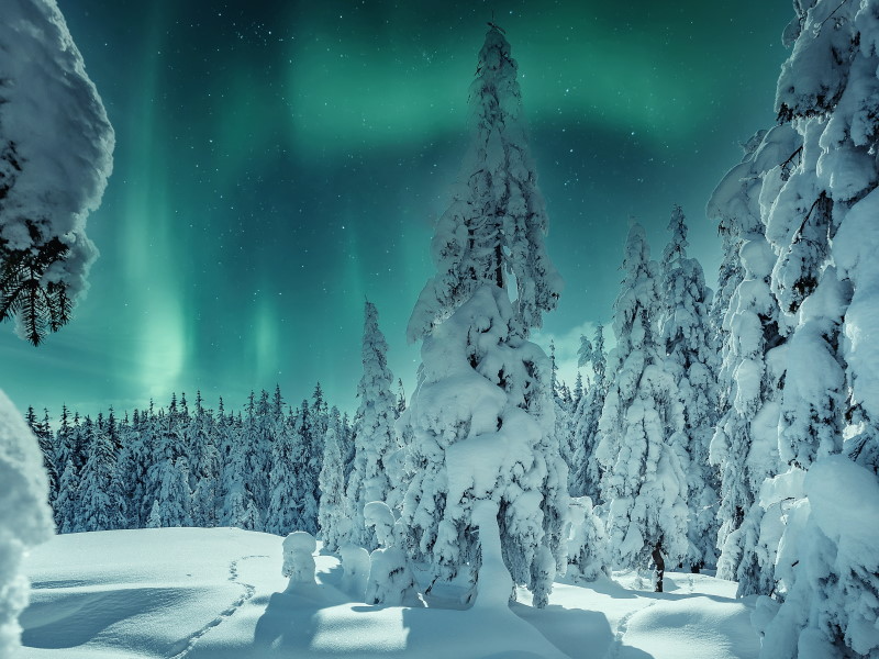 Laponia - Puente de Diciembre Bajo la aurora boreal en Pyhä - desde Madrid