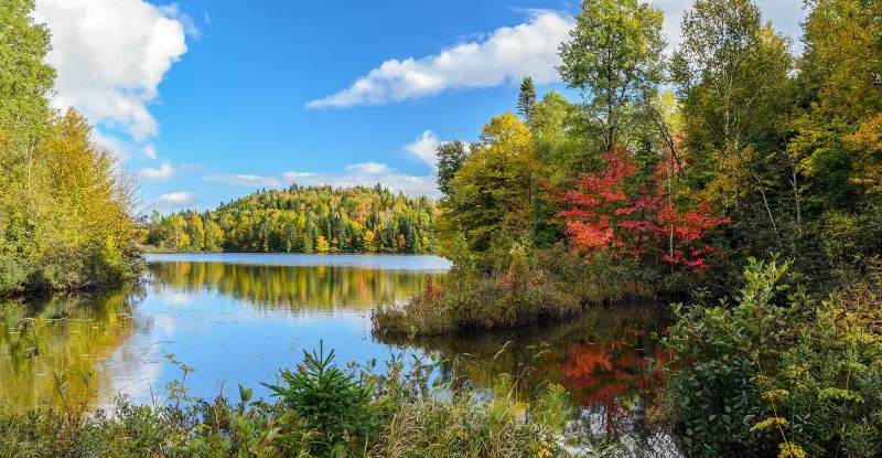 Postales Naturales de Canadá
