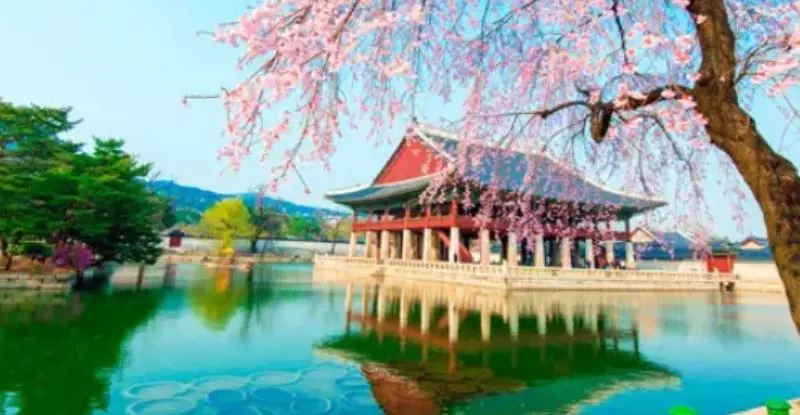 Corea Fantástica