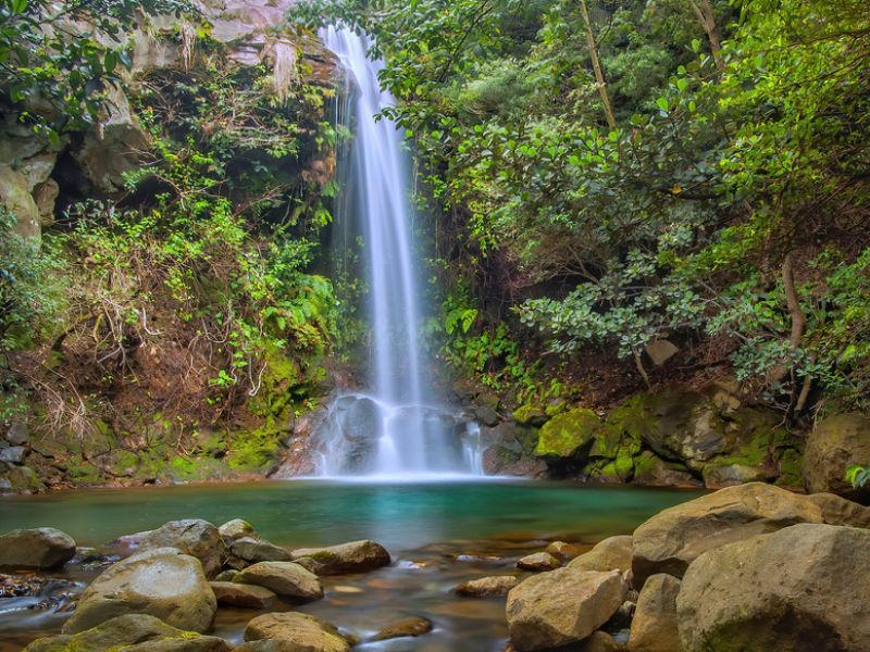 Parques Nacionales de Costa Rica con Guanacaste - Traslados