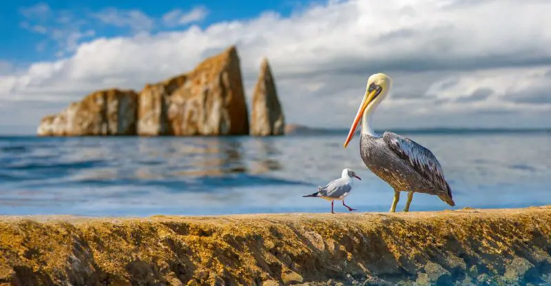Esencias de Galápagos