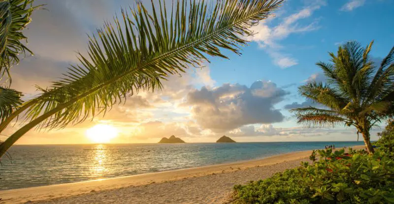 Oahu - Maui