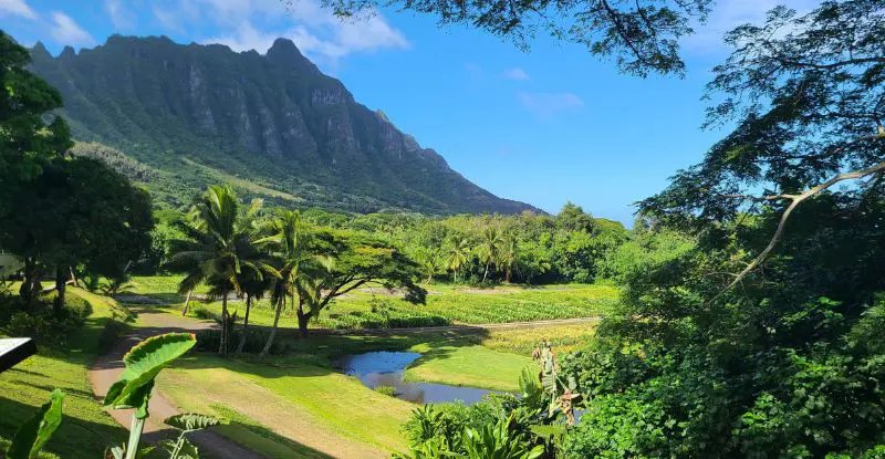 Oahu - Kauai - Maui