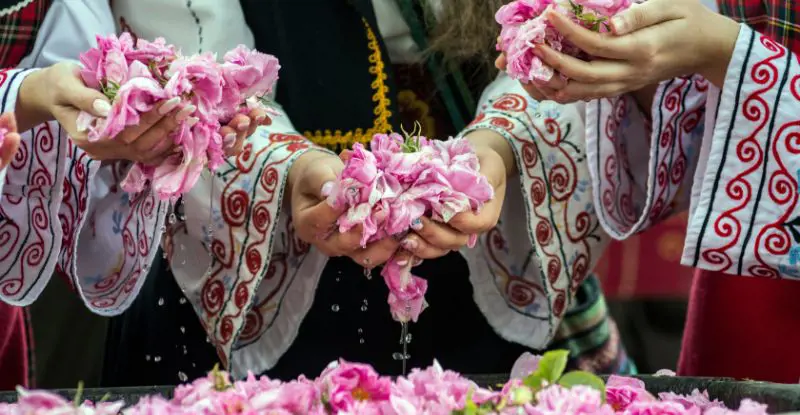 Bulgaria, festival de las rosas desde Madrid